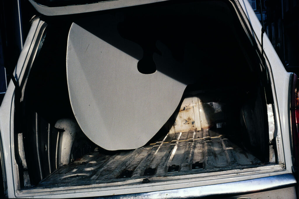 W__archives_janvier_2026_20